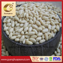 Export Standard Raw Materials Blanched Peanut Kernels 25/29
